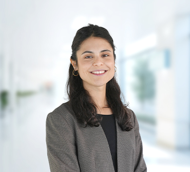 Su persona de contacto